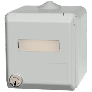 Cepex wall mounted receptacle SCHUKO®, grey  16 A IP44
